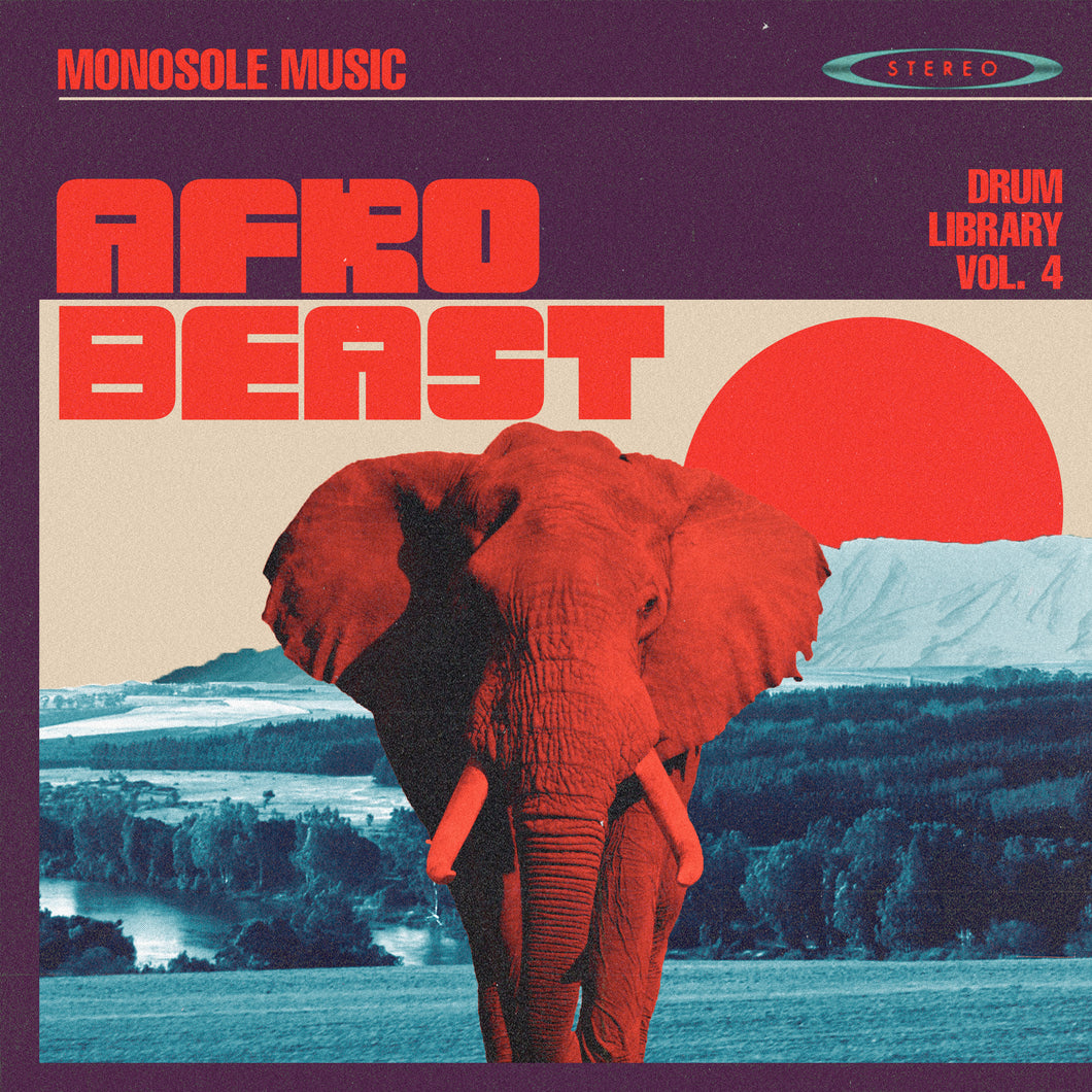 Afro Beast / Drum Hits